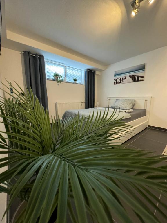 a bedroom with a bed and a large green plant at Gästewohnung Birkenblick in Rheinbach