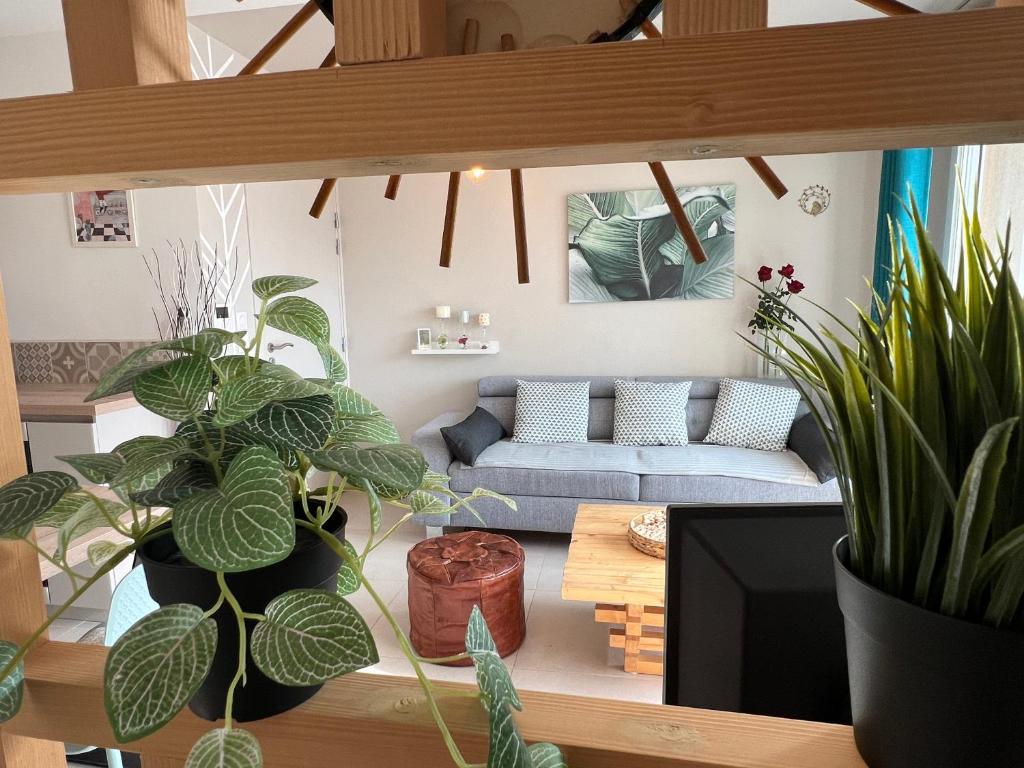 un salon avec des plantes en pot et un canapé dans l'établissement Très bel appartement pour 3 avec piscine, à La Londe-les-Maures