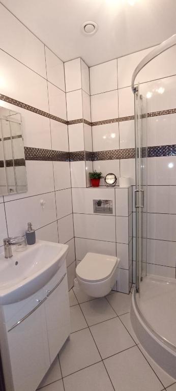 Kúpeľňa v ubytovaní Apartamenty Gościnne Idylla