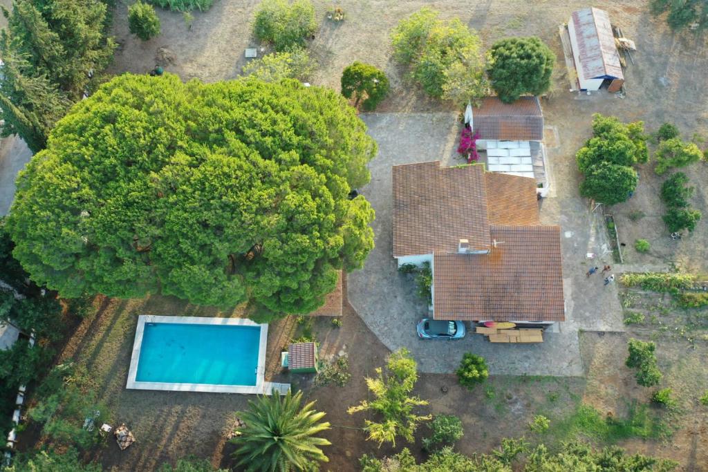 an overhead view of a house with a pool and trees at Casa del Buho in Chiclana de la Frontera