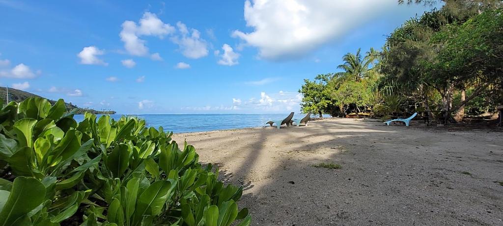 una playa con dos perros sentados en la arena en Fare Oviri Lodge en Opoa