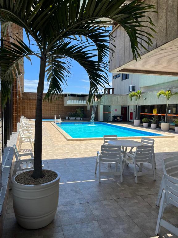 eine Palme in einem großen Topf neben einem Pool in der Unterkunft Apartamento com vista da praia da Costa 615 in Vila Velha