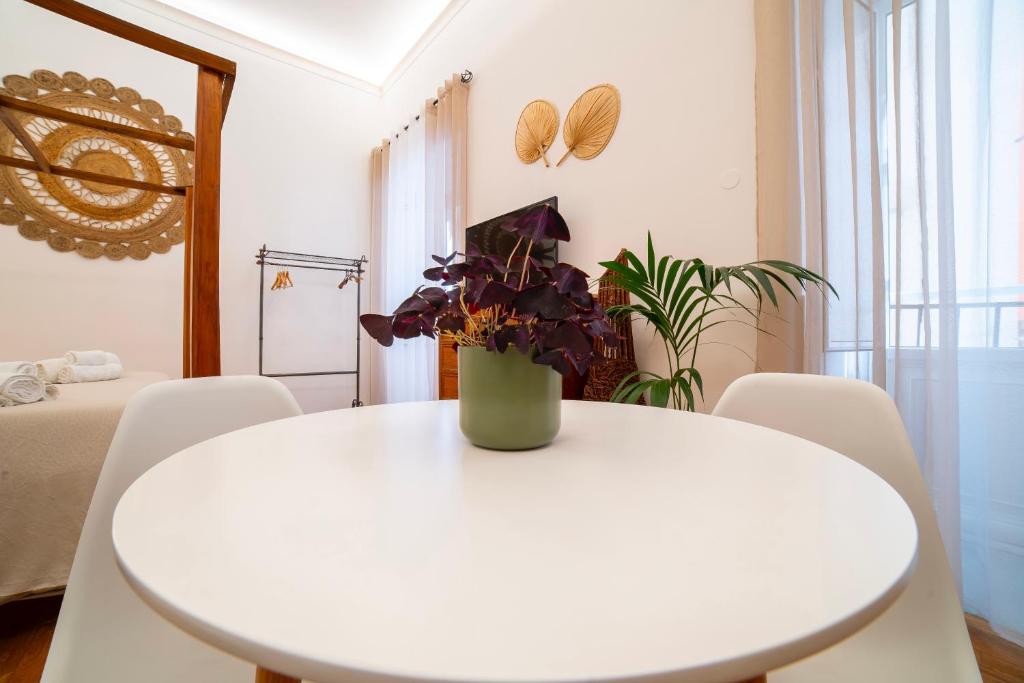 Natoli Apartments - 7