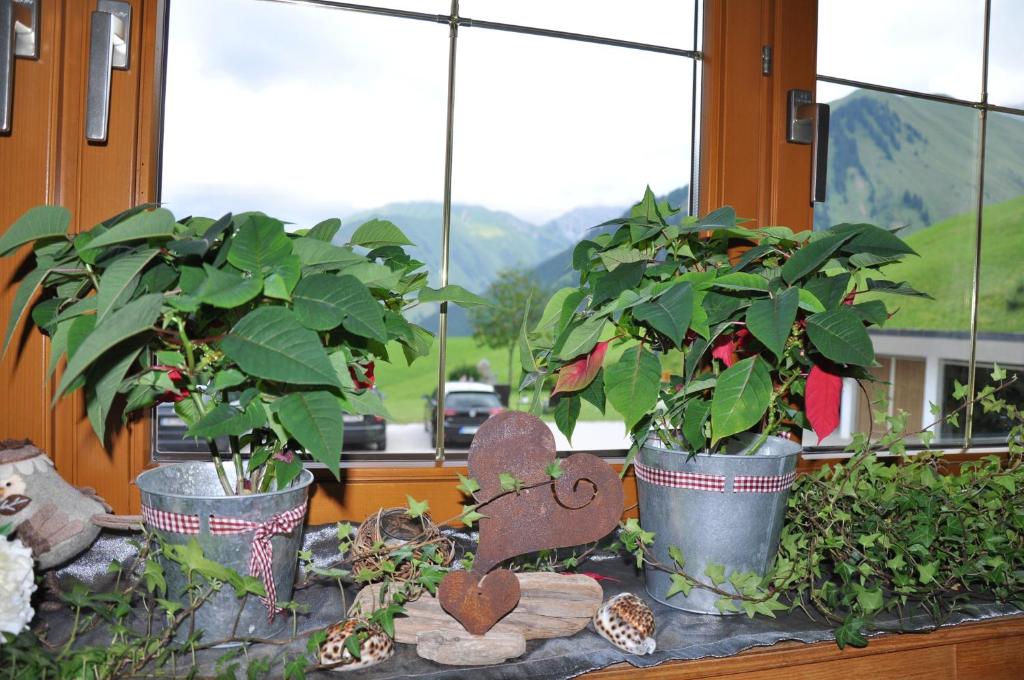 Zahrada ubytování Haus Alpina