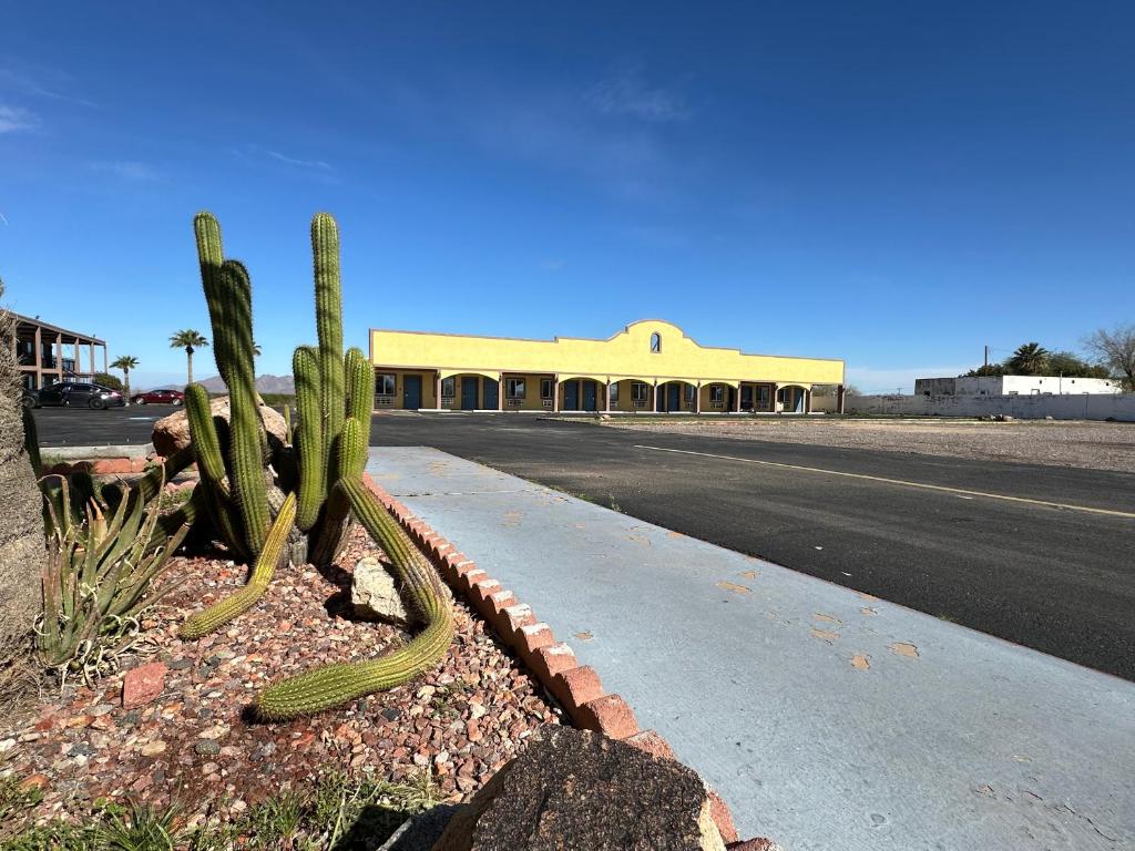 a street with a building with a cactus at Gila Bend Lodge in Gila Bend