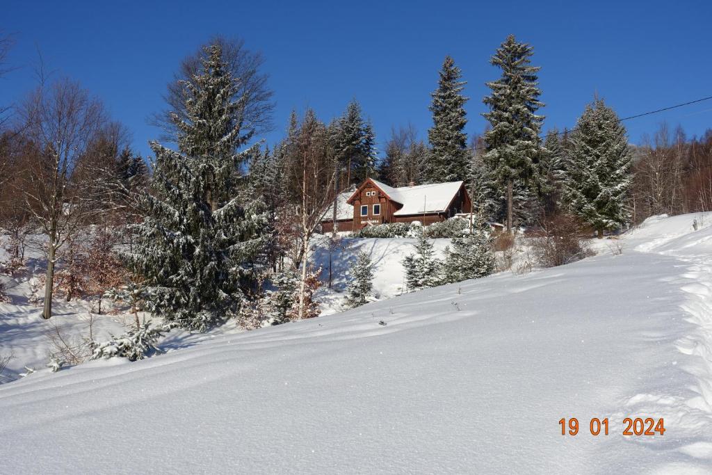 Śnieżynka Spa v zimě