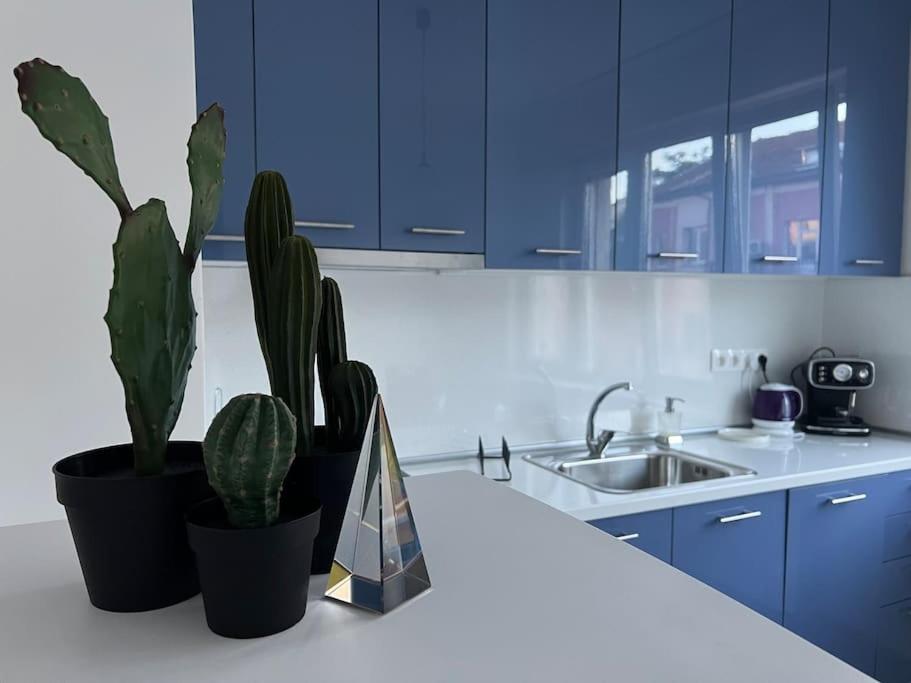 Cool 1-BR apt, Metro & Central bus & Тrain station