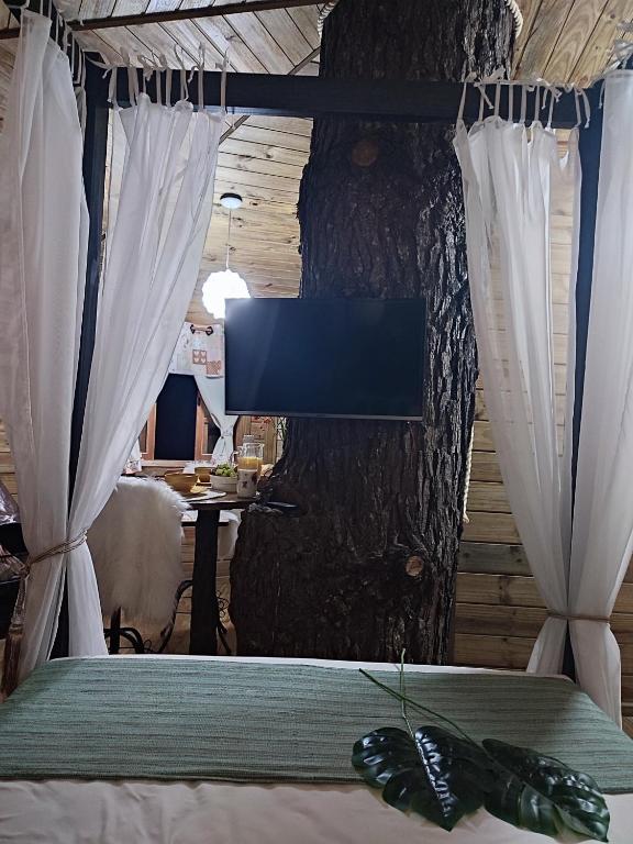 Postel nebo postele na pokoji v ubytování Casa na Árvore - Chalé Quemeninho