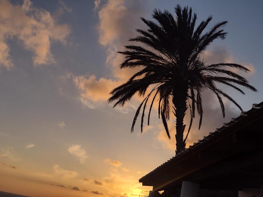 a palm tree in front of a sunset at "la Palma"la casa del sole e del vento in Lingua