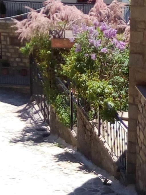 Zahrada ubytování Αρχοντικό Ειρήνη - 4 Metsovo