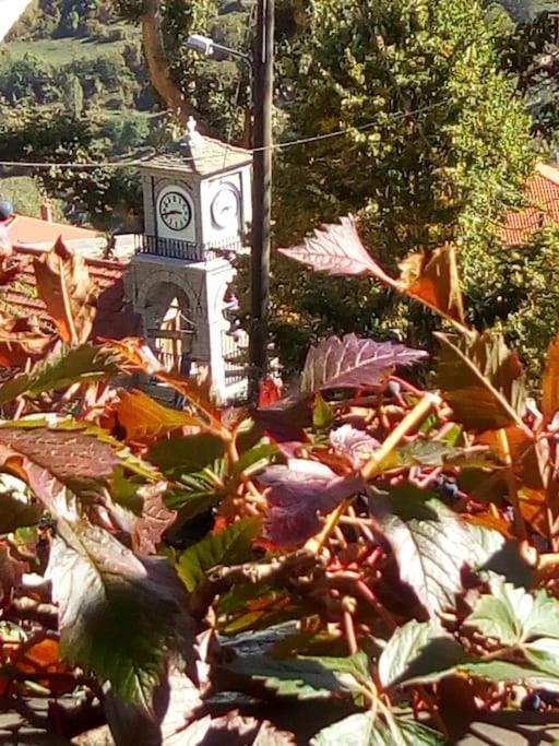 Zahrada ubytování Αρχοντικό Ειρήνη - 4 Metsovo