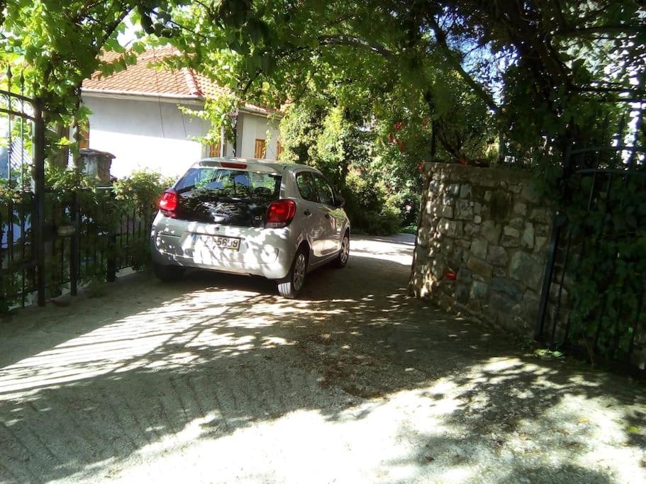 Fotografie z fotogalerie ubytování Αρχοντικό Ειρήνη - 4 Metsovo v destinaci Metsovo