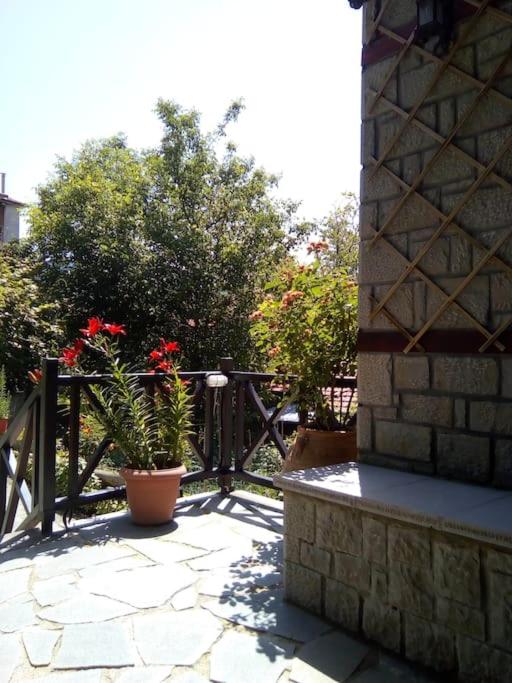 Zahrada ubytování Αρχοντικό Ειρήνη - 4 Metsovo