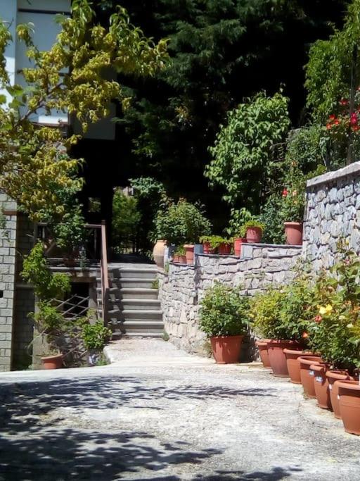 Zahrada ubytování Αρχοντικό Ειρήνη - 4 Metsovo