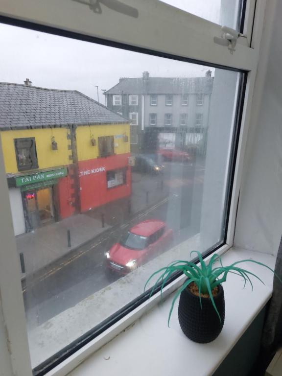 a window with a potted plant and a car on a street at The corner house Longford town in Longford