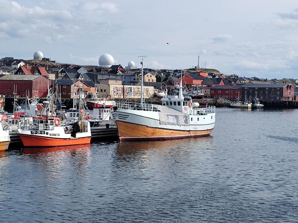 a group of boats docked in a harbor at Tunfisk II in Vardø
