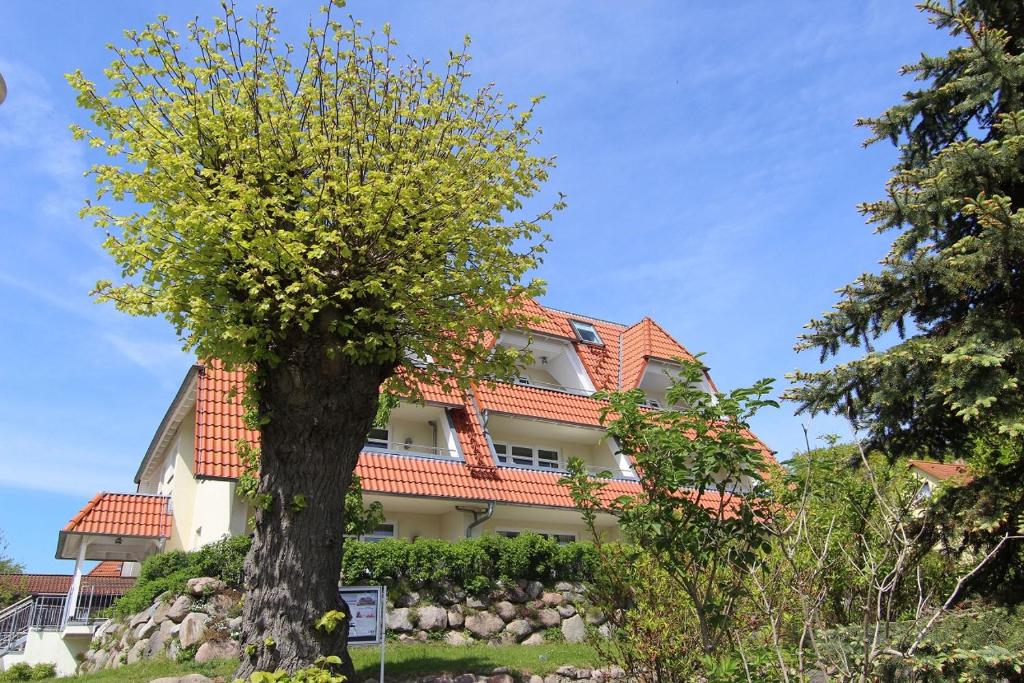 ein Gebäude mit einem Baum davor in der Unterkunft Hafenhäuser Breege - Ferienwohnung 18 - Ankerplatz in Breege