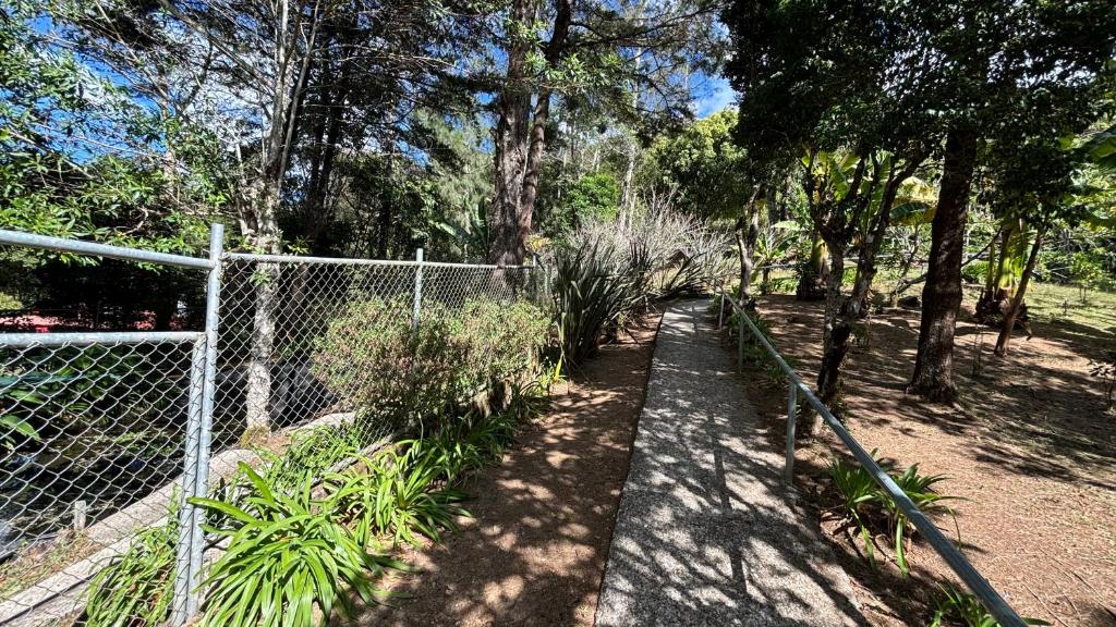 a garden with a fence and some plants and trees at Koi's House - Quebradillas de Dota in Santa María