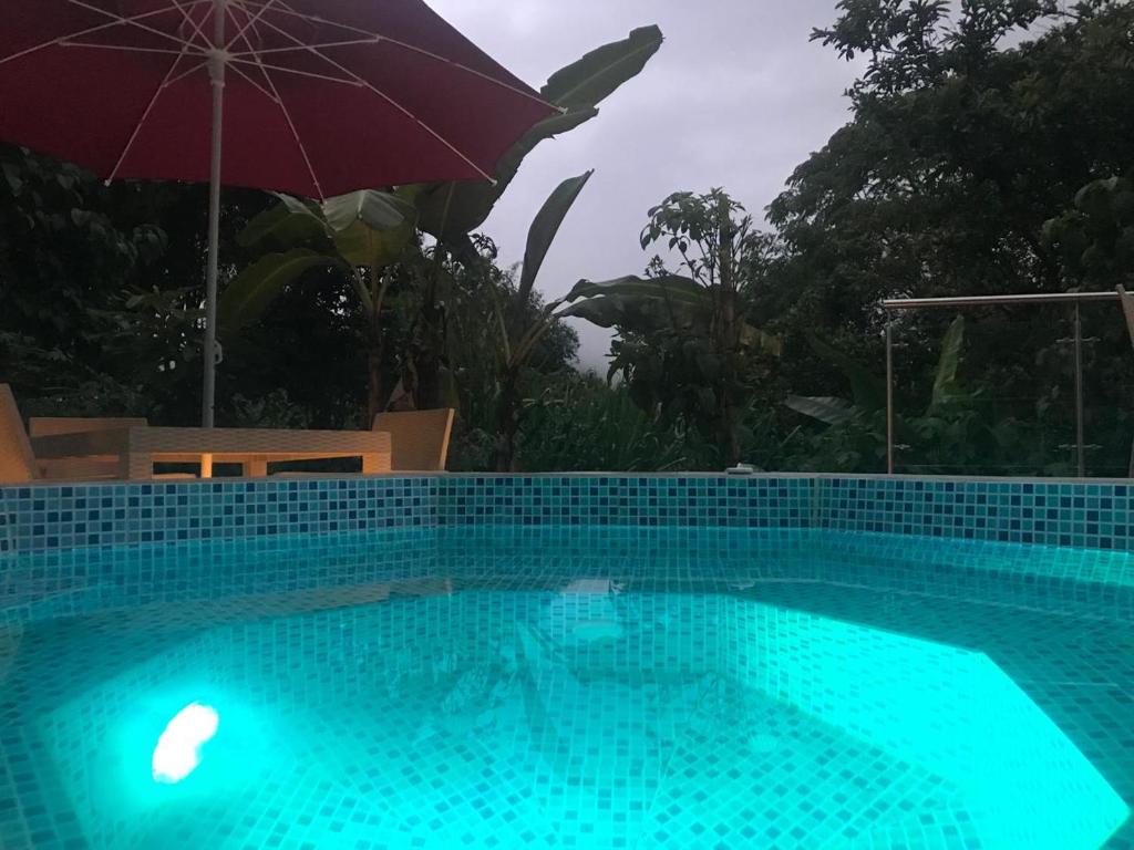 a swimming pool with an umbrella and a swimming pool at Hostería los Cedros de Mindo in Mindo