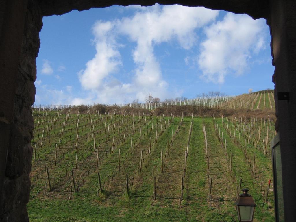 Gite Chez Marcel – photo 49