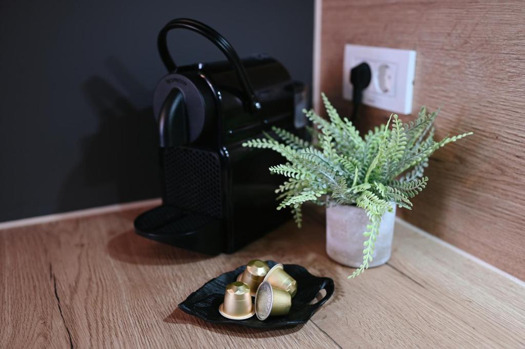 ADRIANIK Apartment - 4