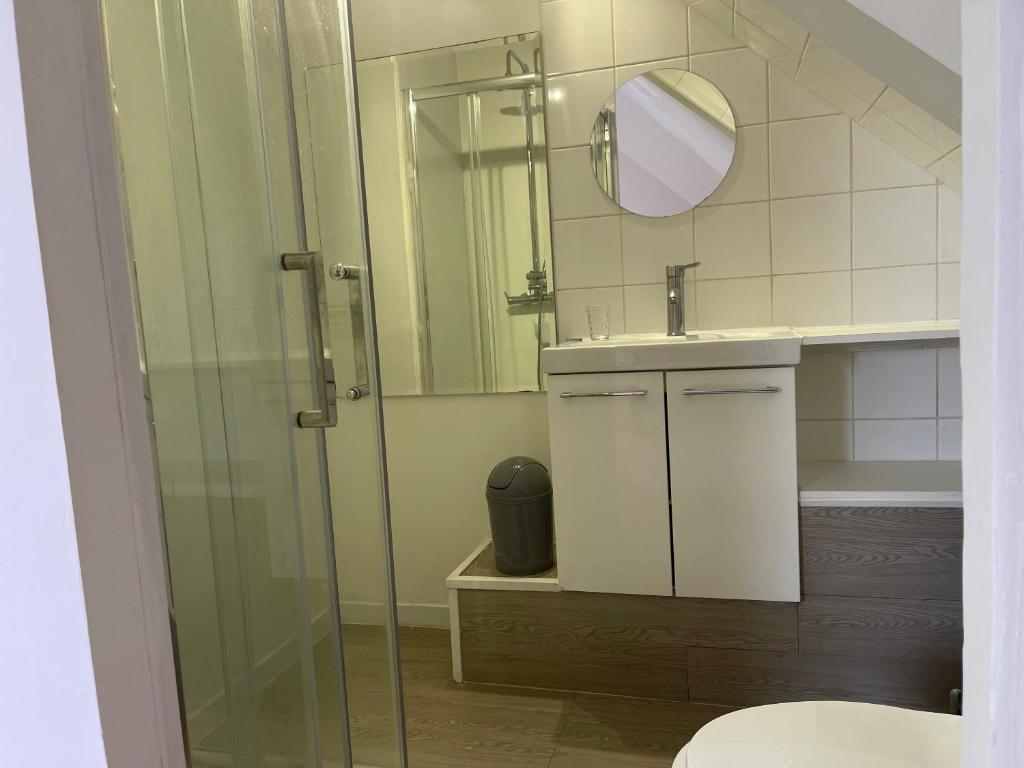 a bathroom with a shower and a sink and a mirror at CASA COLIVING avec chambre salle de bain individuelles privatives in Saint-Pierre