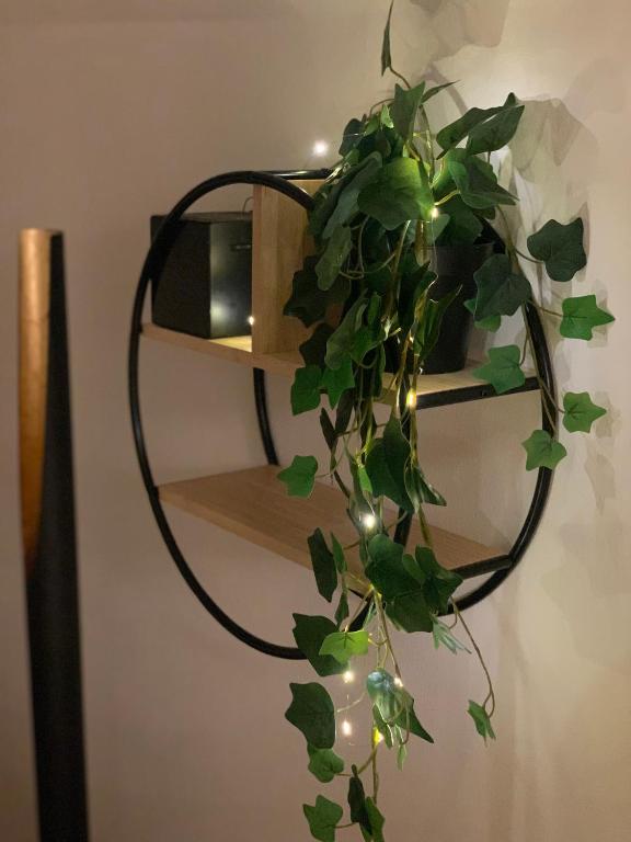 Fotografie z fotogalerie ubytování Zentrale Wohnung an der Gondel & Naturblick v destinaci Hinterstoder