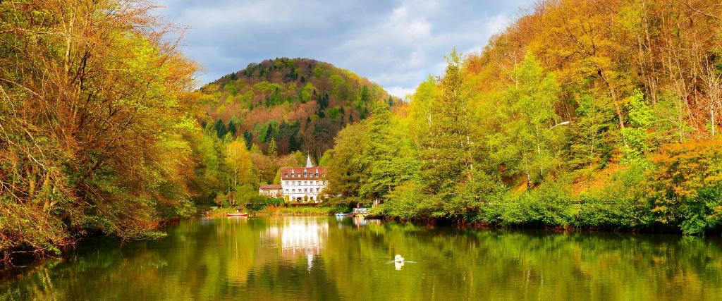 una casa en medio de un río con árboles en Hotel Pfälzer Wald, en Bad Bergzabern