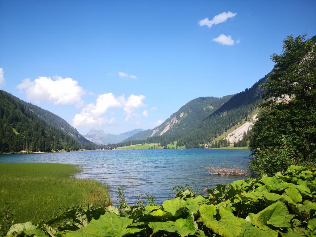 a view of a lake with mountains in the background at Jungholz Erlebnis in Jungholz