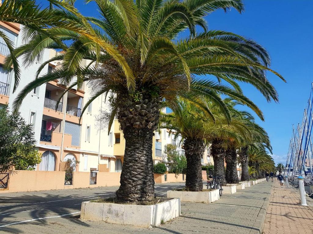 een rij palmbomen op een stoep bij T2 sur le port avec parking in Gruissan
