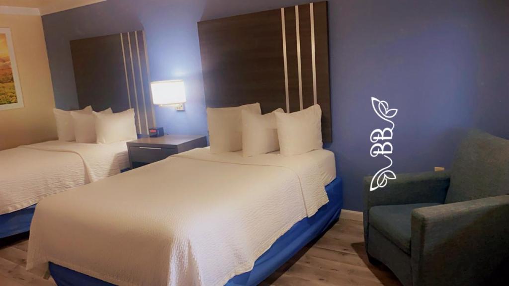Days Inn & Suites by Wyndham Braunig Lake - Error