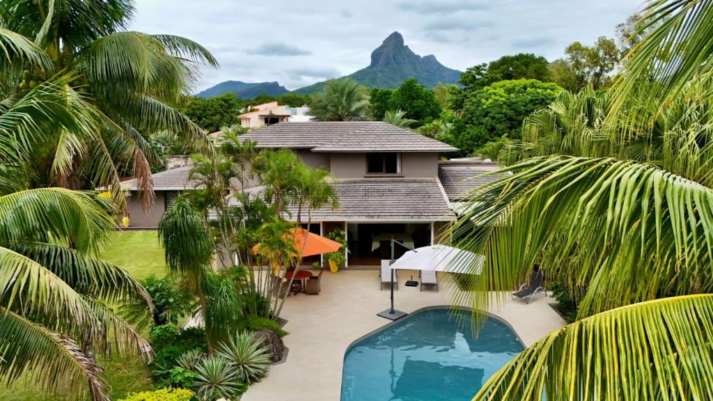 塔馬蘭的住宿－Villa Petit Tamarin : piscine bar et grand jardin tropical，别墅前设有游泳池