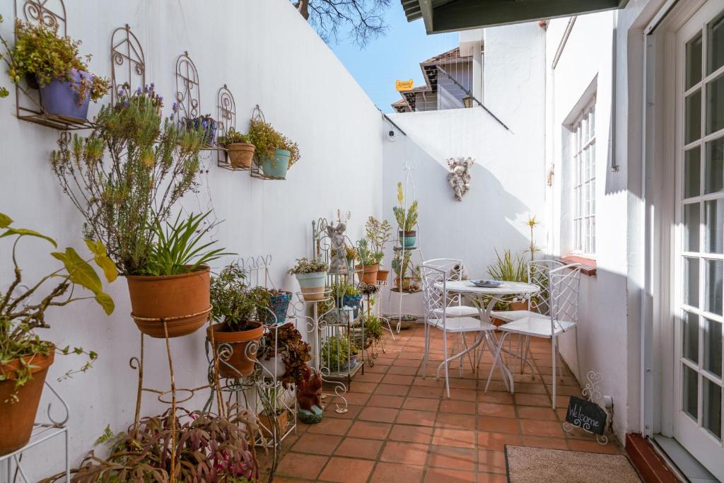 a courtyard with potted plants on a white wall at Hummingbird in Pretoria