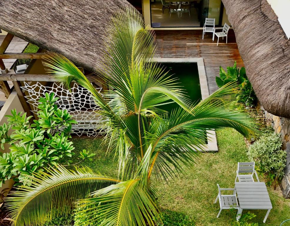 an aerial view of a patio with a palm tree at Villa Balinaise avec piscine in Rivière Noire