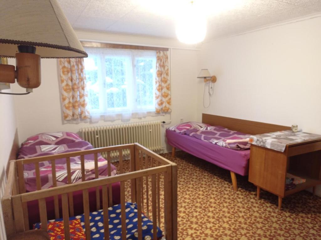 Postel nebo postele na pokoji v ubytování Ubytování u Boženky