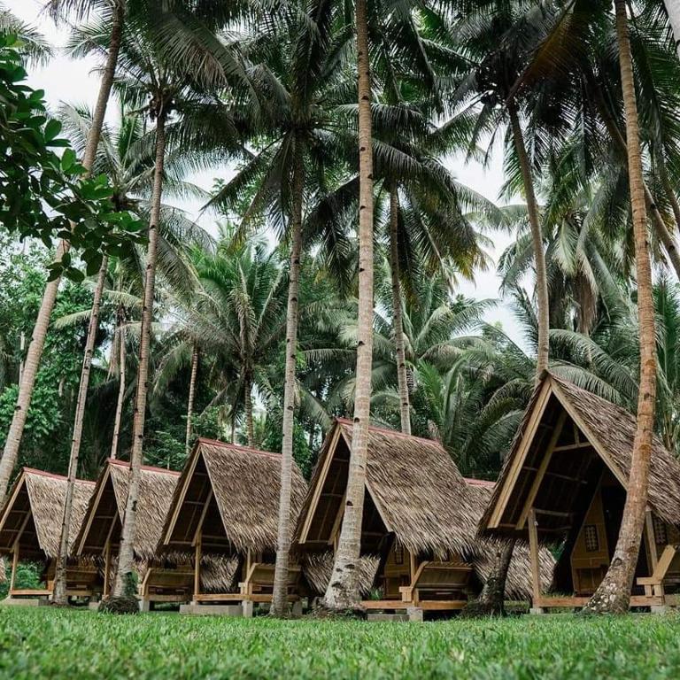 Zahrada ubytování Loboc Nipa Huts Cottages Rental