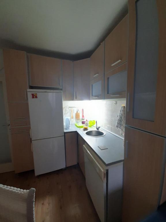 Kuhinja oz. manjša kuhinja v nastanitvi Apartman Oskar