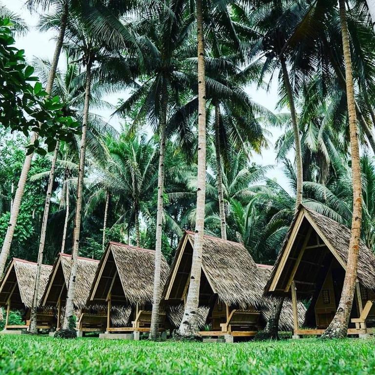 Zahrada ubytování Loboc Nipa Huts Cottages Rental