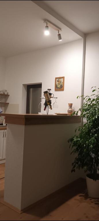 a counter in a kitchen with a camera on it at NAS DOM OPLENAC in Topola