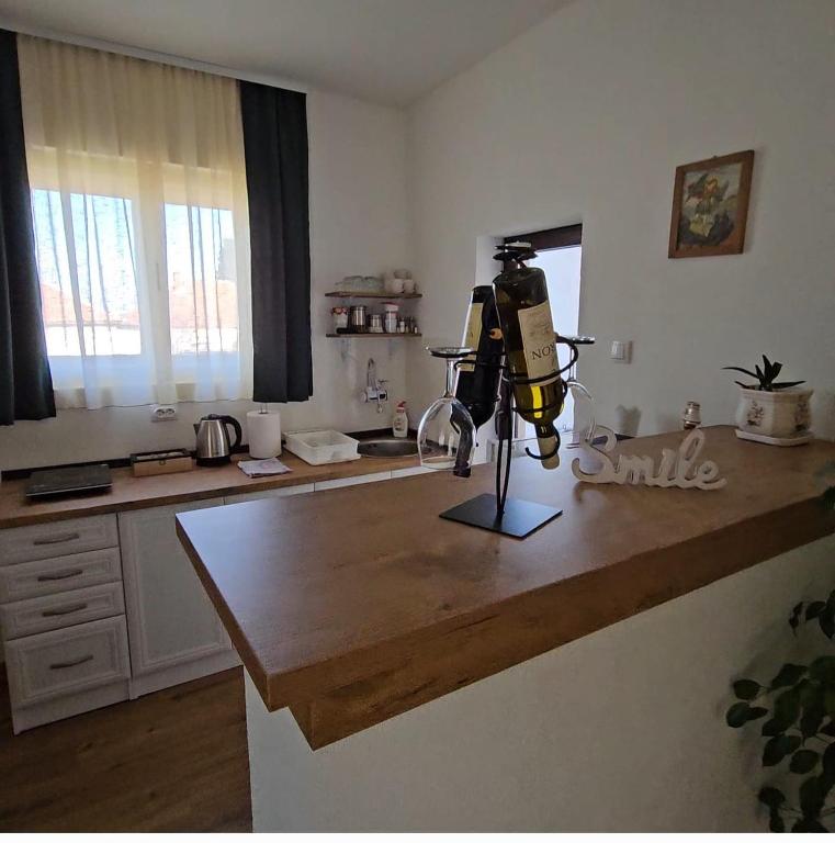 a robot sitting on top of a kitchen counter at NAS DOM OPLENAC in Topola