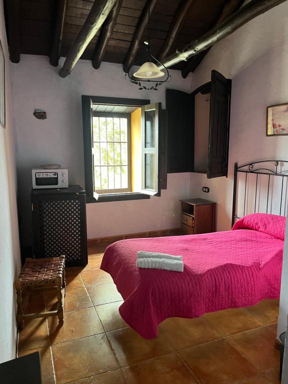 ein Schlafzimmer mit einem Bett mit einer rosa Tagesdecke und einem Fenster in der Unterkunft Apartamentos en Alfacar in Alfacar