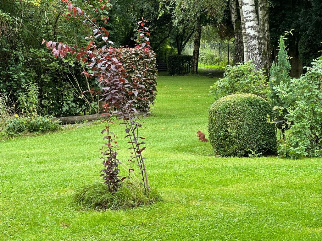 Zahrada ubytování Hotel Steineweiher