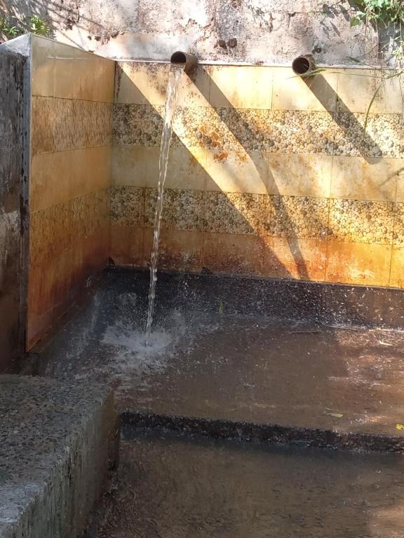 Trinish homestay - 8