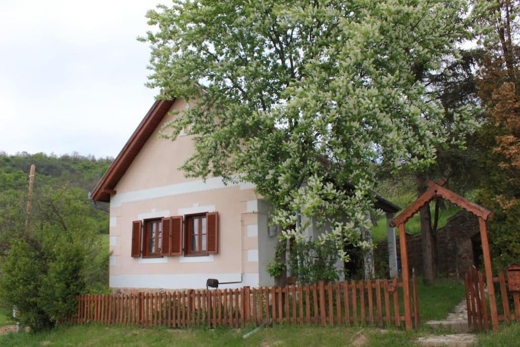 una pequeña casa blanca con una valla y un árbol en Alsópetényi erdőszéli vendégház, en Alsópetény
