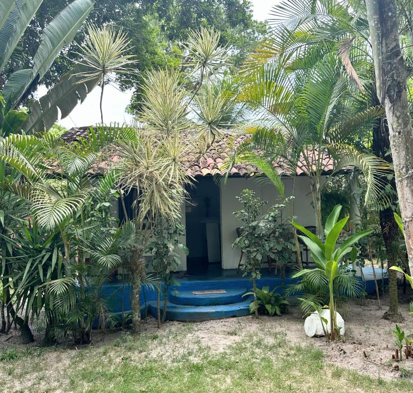 a guest house in the middle of some palm trees at Chales do Oliveira in Porto Seguro