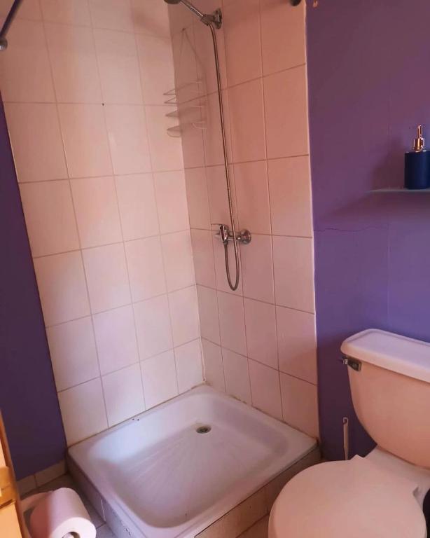 Koupelna v ubytování Hostal Al Yaras