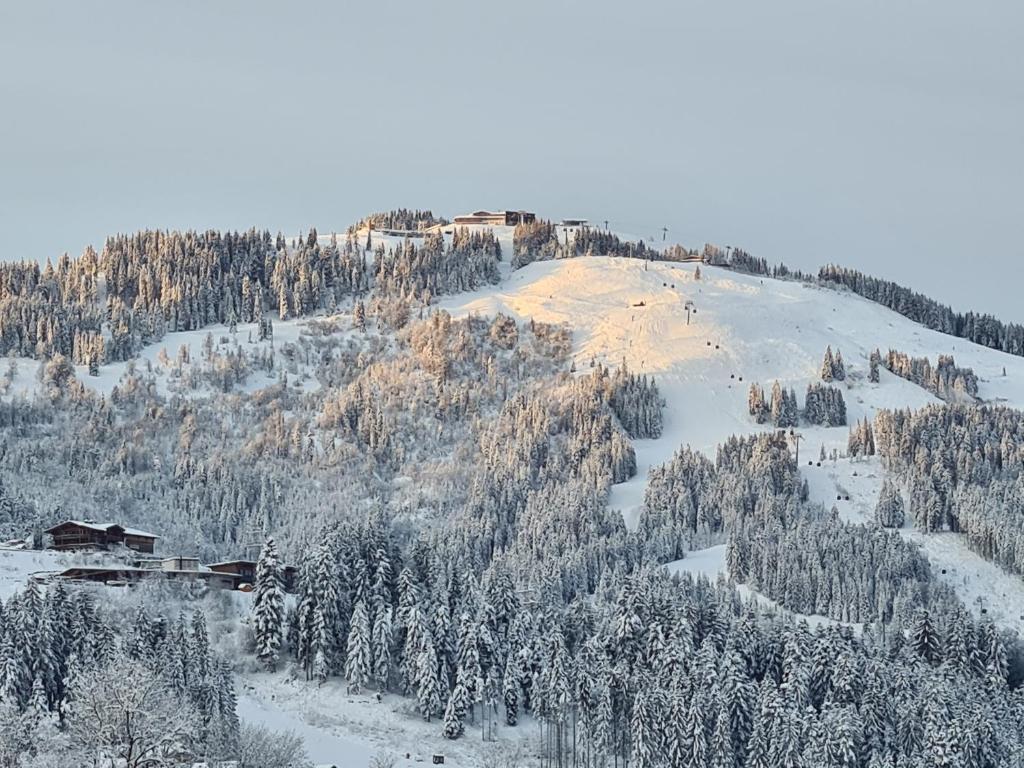 a snow covered hill with trees and a house on it at Going EASY in Going
