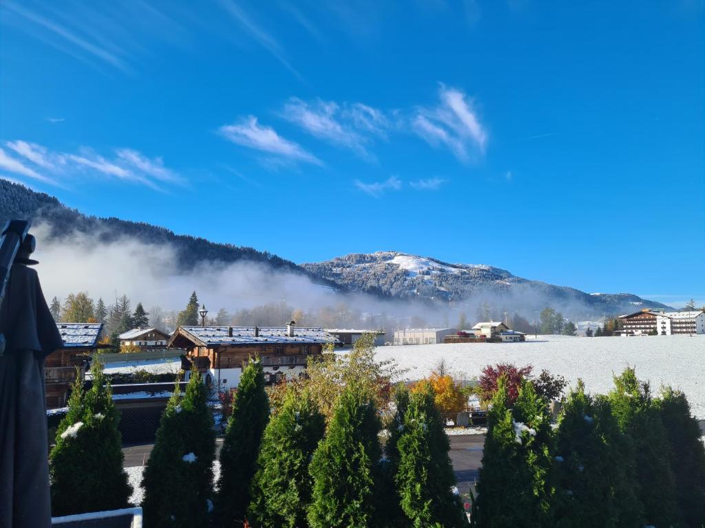 a view of a town with a snow covered mountain at Going EASY in Going