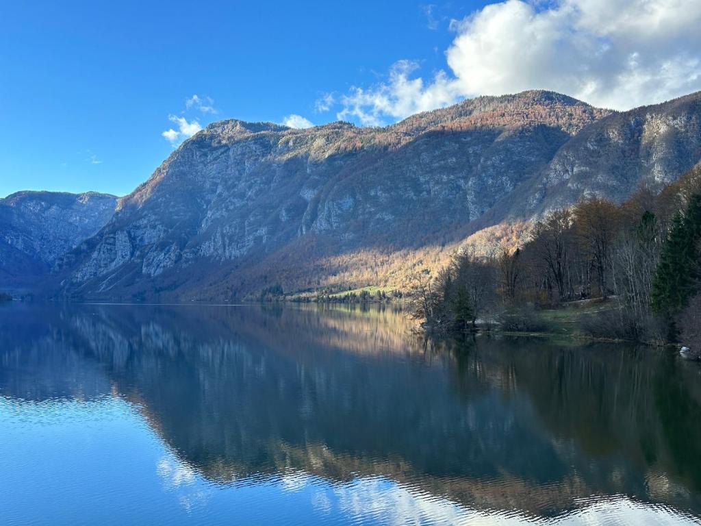 a view of a lake with mountains in the background at Apartma Tisa Bohinj in Bohinj