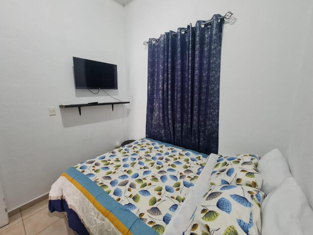 - une chambre avec un lit avec un rideau et une télévision dans l'établissement Gregorio Houses, 